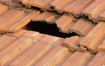 roof repair Osgodby